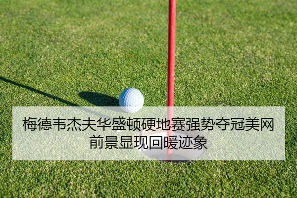 mei-de-wei-jie-fu-hua-sheng-dun-ying-di-sai-qiang-shi-duo-guan-mei-wang-qian-jing-xian-xian-hui-nuan-ji-xiang-2-252.jpg